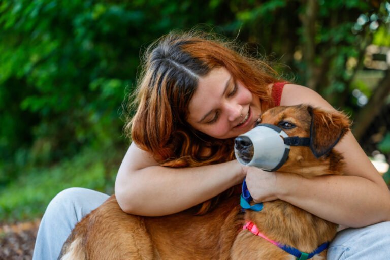 Quer castrar seu pet? É importante manter cadastro atualizado no DEBEA